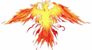 Best kodi addon Phoenix Rises 